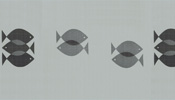 NGB fisch granit